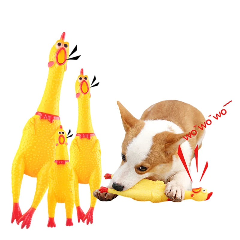 Chicken Dog Toy